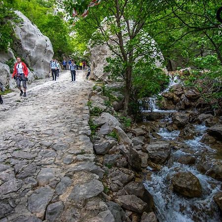 Apartment Maca Starigrad Paklenica Bagian luar foto